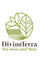 Divine Terra Sea Moss - Home